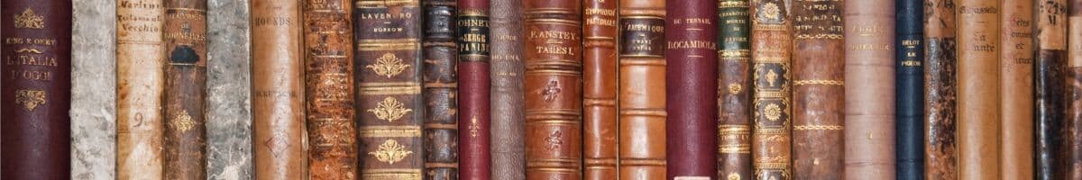 Litteratur iFokus