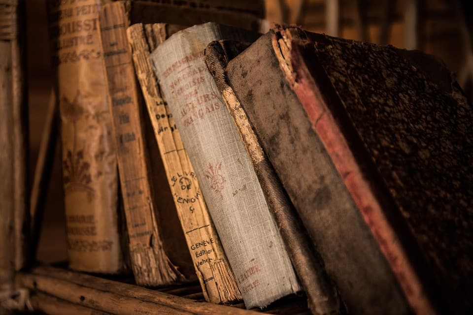 Litteratur iFokus